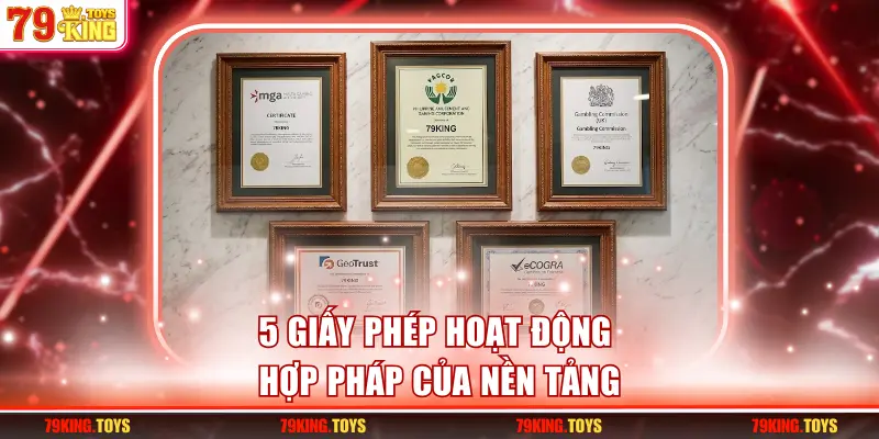5 giấy phép hoạt động hợp pháp của nền tảng