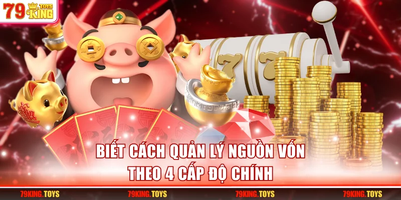 Biết cách quản lý nguồn vốn theo 4 cấp độ chính